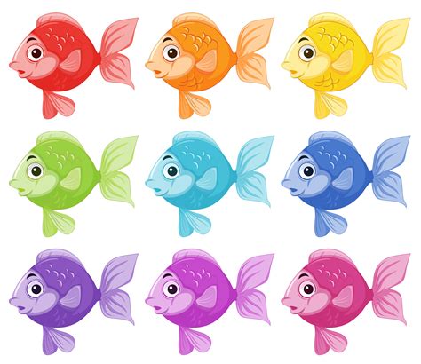 peixe colorido-4